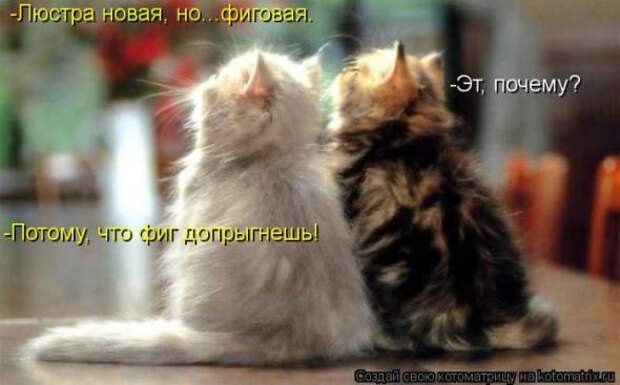 Котоматрицы(картинки с надписями)