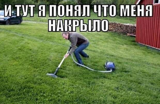 Смешные картинки с подписями