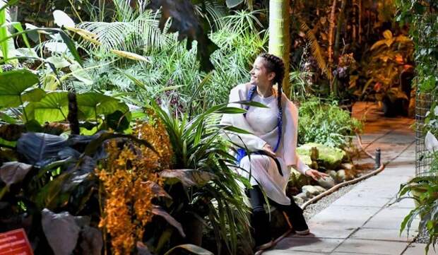 «Райская птица» расцвела в «Аптекарском огороде»