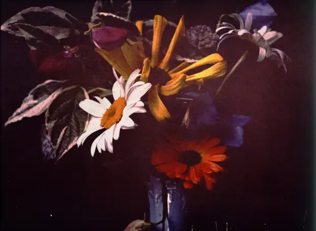 Автохром, фотограф Джон Ядерстрём