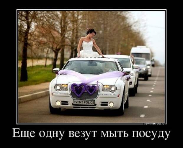 Свежая порция демотиваторов (12 шт)