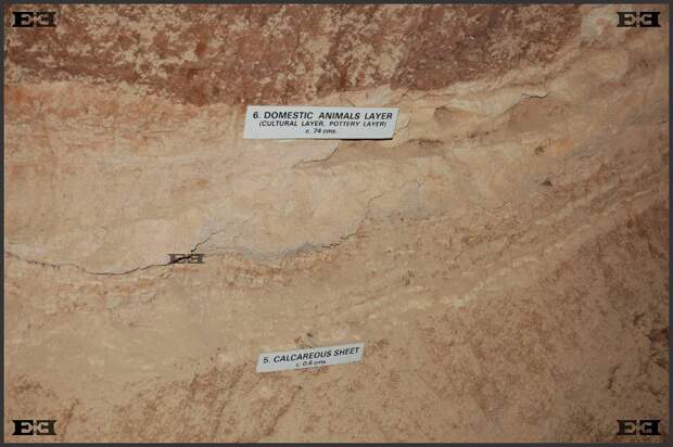 velikovsky-earth-in-upheaval-ghar-dalam-cave