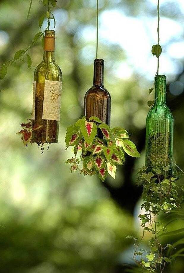 10 идей использования бутылок в саду!