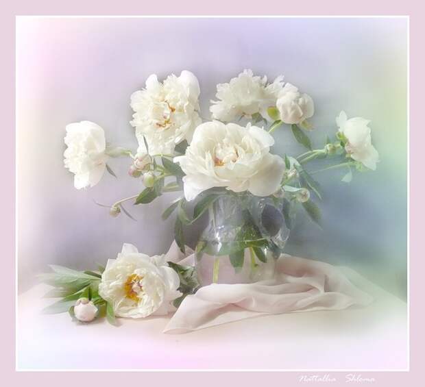 59854449_0_3245e_ec95ee42_XL1 (699x638, 63Kb)