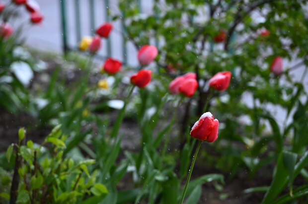 Метеорологи предсказали аномальную погоду на майские выходные по всей России