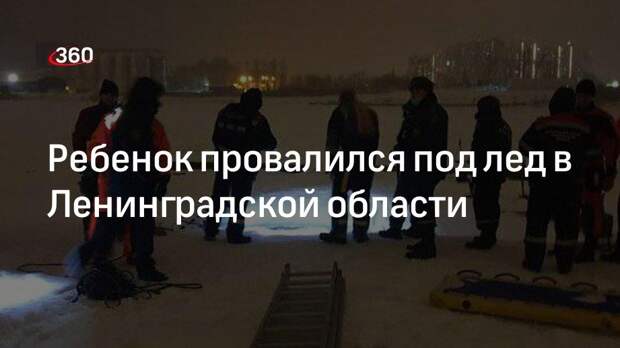 Спасатели ищут семилетнего мальчика, который провалился под лед в Ленинградской области