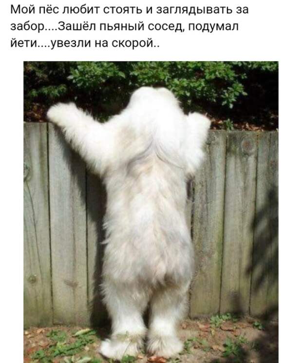 Подборка картинок. Дневной выпуск (25 фото)