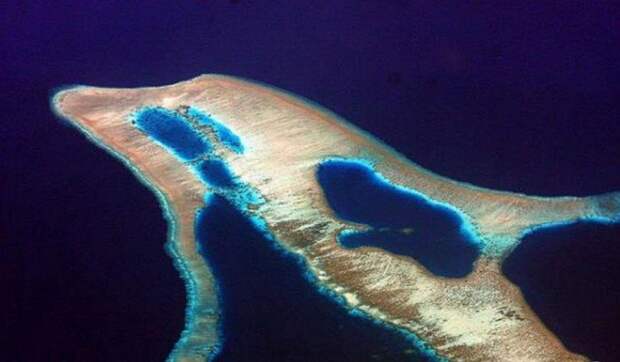 Необычные острова, фото - остров-дельфин