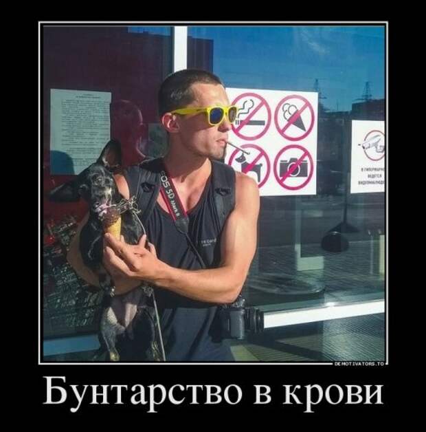 Сборник новых демотиваторов (13 шт)