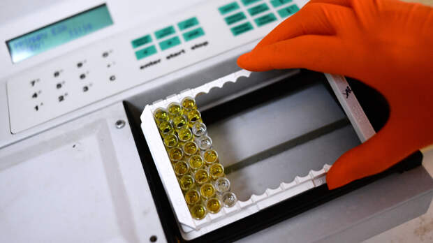 «Алиментарный путь»: энцефалитом можно заразиться не только через укус клеща