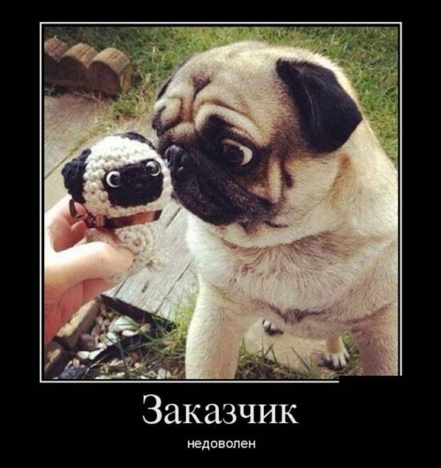 Демотиваторы (35 шт)