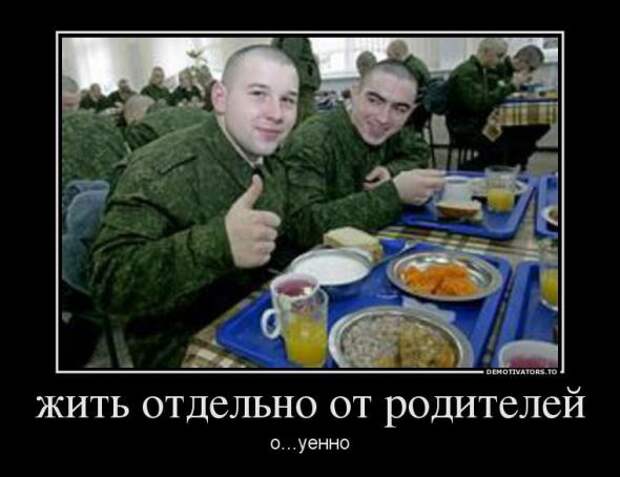 Немного новых демотиваторов