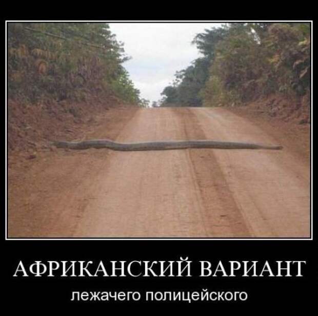 Смешные демотиваторы приколы (25 фото) Смешные демотиваторы приколы (25 фото)