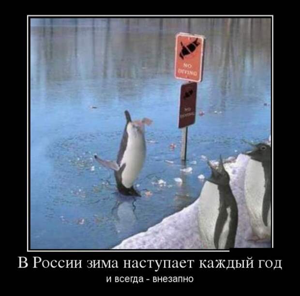 Демотиваторы (30 фото) Демотиваторы (30 фото)