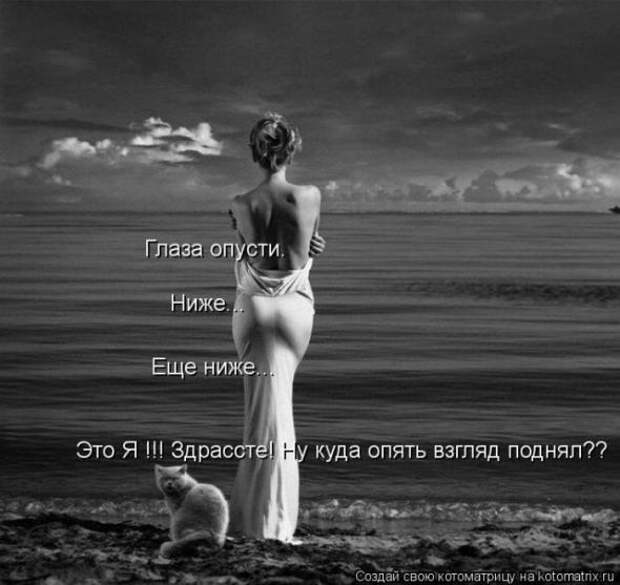 Котоматрицы(картинки с надписями)