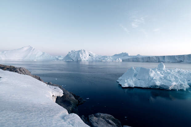 В Антарктиде впервые замечена акула