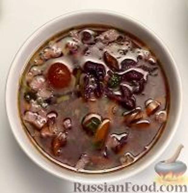 Фото к рецепту: Щи из красной капусты (в мультиварке)