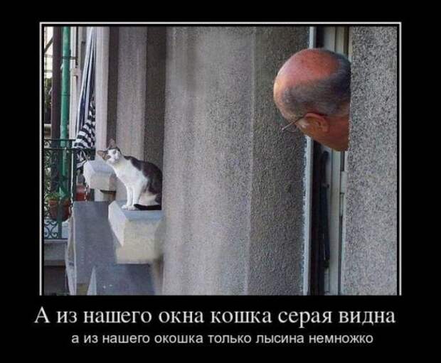 Новая подборка позитивных  демотиваторов 