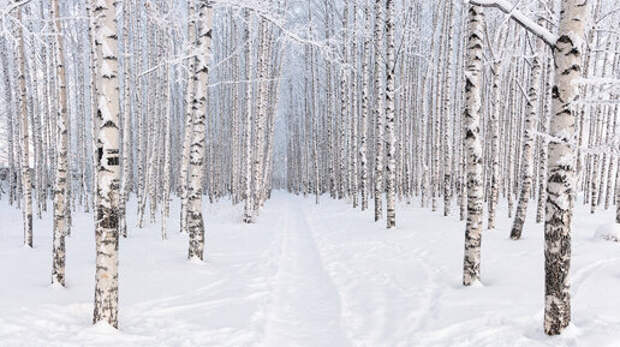 Уникальные места в Кировской области где стоит побывать зимой