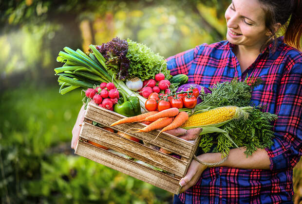 Какой урожай можно собрать в июле? Овощи, фрукты и ягоды, которые созревают в огороде в середине лета