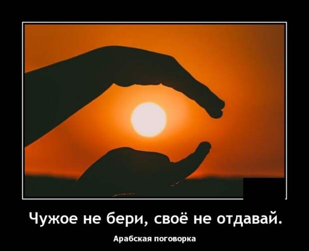 Демотиваторы (20 фото)