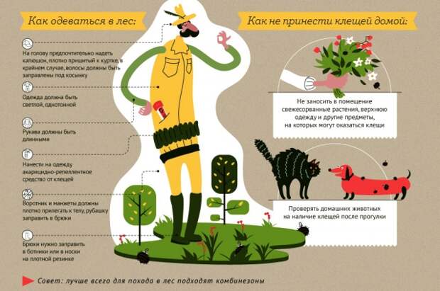 как одеться чтобы не укусил клещ