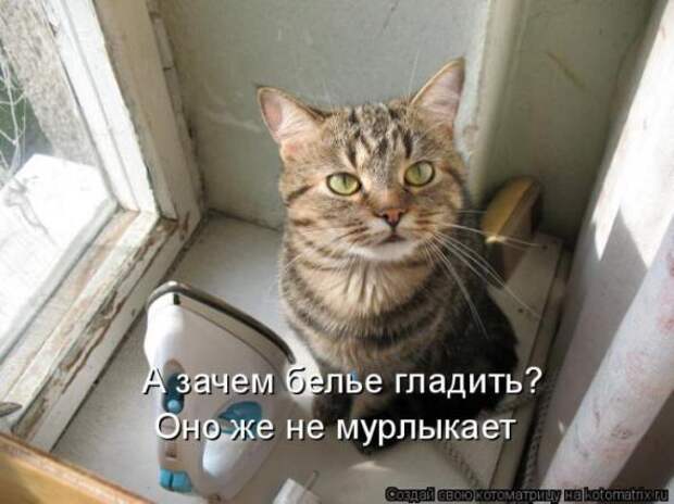 Котоматрицы(картинки с надписями)