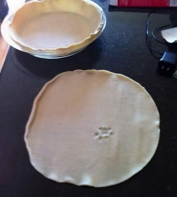 Домашние любимцы