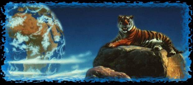 Юрий Селиванов: Тигру не усидеть на горе