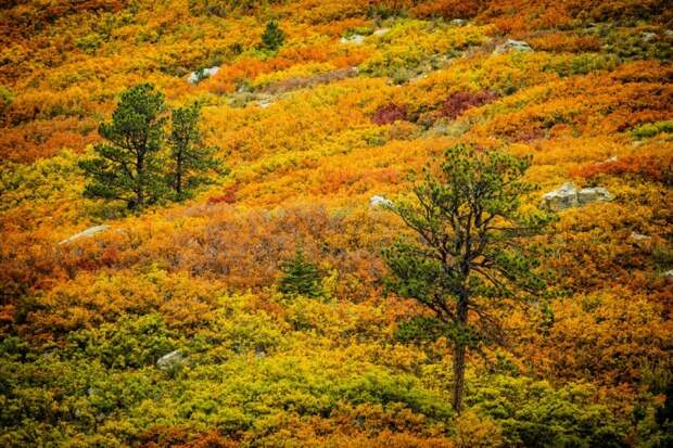 Красивая осень в фотографиях David Kingham