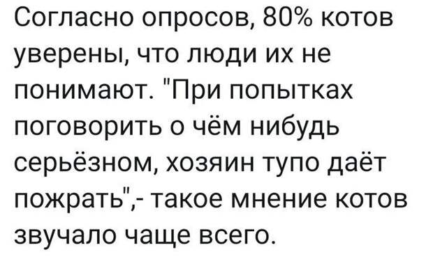 Когда понимания не случилось