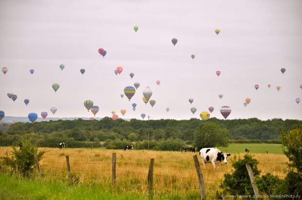Воздушные шары в небе Франции: 343 шара одновременно! | NewsInPhoto.ru Новости и репортажи в фотографиях (3)