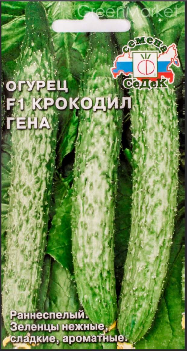 По улицам ходили большие крокодилы,а наши аллигаторы гибриды-огурцы .