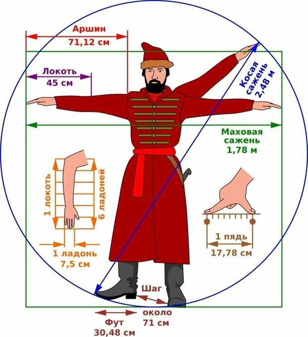 Простые, но практичные шпаргалки о человеческом теле Простые, но практичные шпаргалки о человеческом теле измерения, интересное, мерки, подсказки, тело, факт, человек, шпаргалки