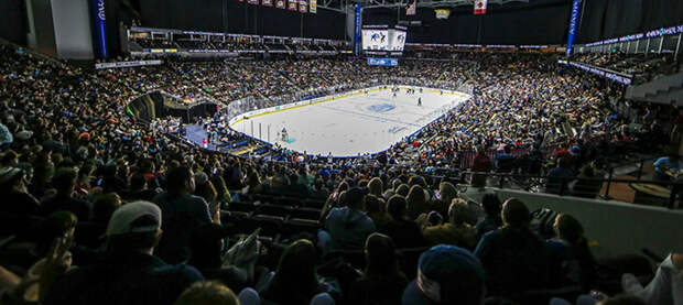 Забастовка в американском хоккее! Игроки отменили матчи и заявили о нарушении законов — Устроили балет!