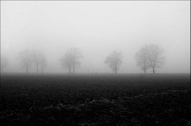 475 100 изумительных фотографий тумана (часть 2)