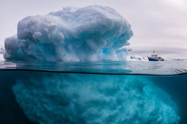 25 удивительных фото, где нет ни грамма фотошопа