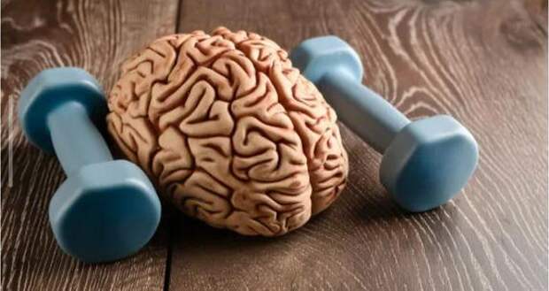 Память перестали тренировать