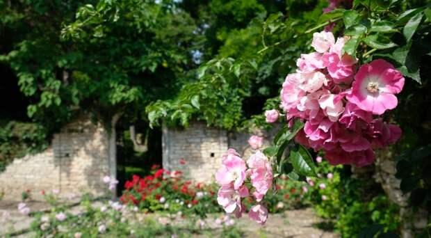 Фото: Анна Попкова