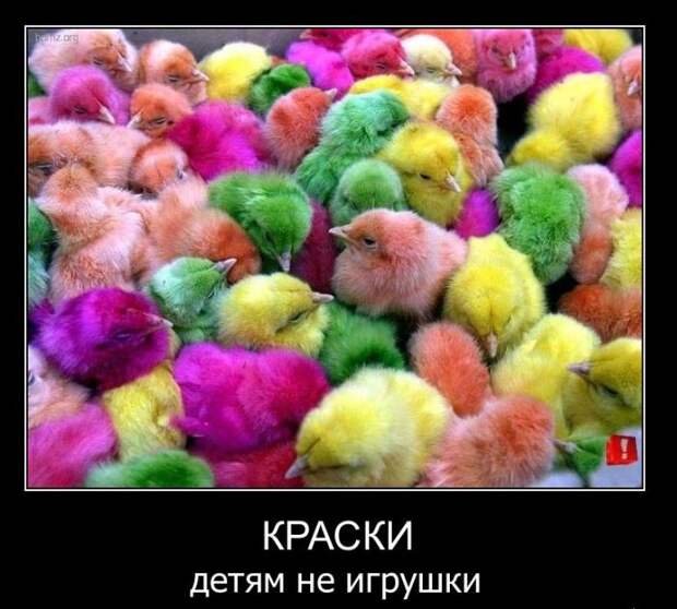 Смешные демотиваторы