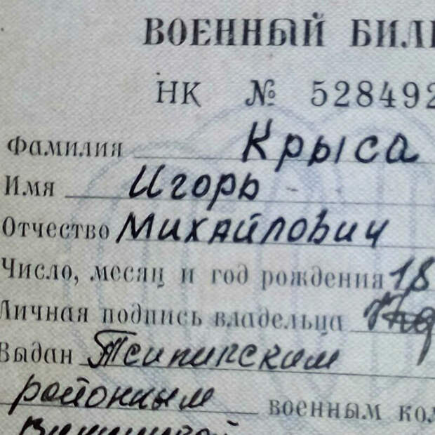 Называйте его просто Крыса! | Фото: Всяко.нет. Называйте его просто Крыса! | Фото: Всяко.нет.