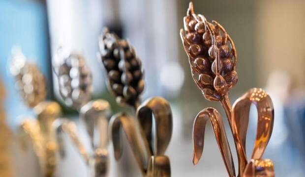 Продолжается прием заявок на архитектурный конкурс «Золотой колос — 2026»