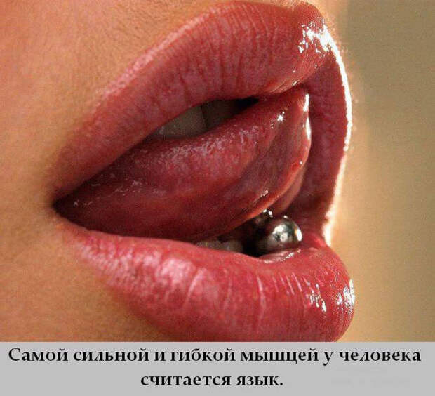 Интересности обо всем