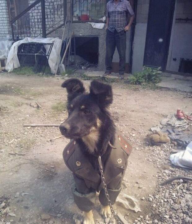 Приезжайте к нам в колхоз - куры, дуры и навоз