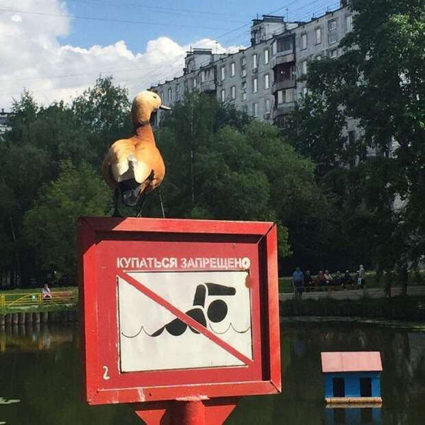 Не очень-то и хотелось Не очень-то и хотелось