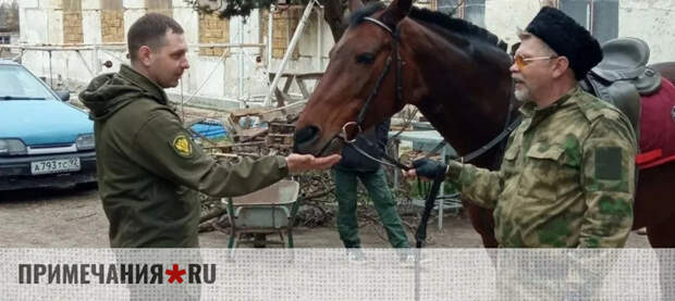 Конный патруль на страже: казаки и лесничие объединились для защиты лесов Севастополя