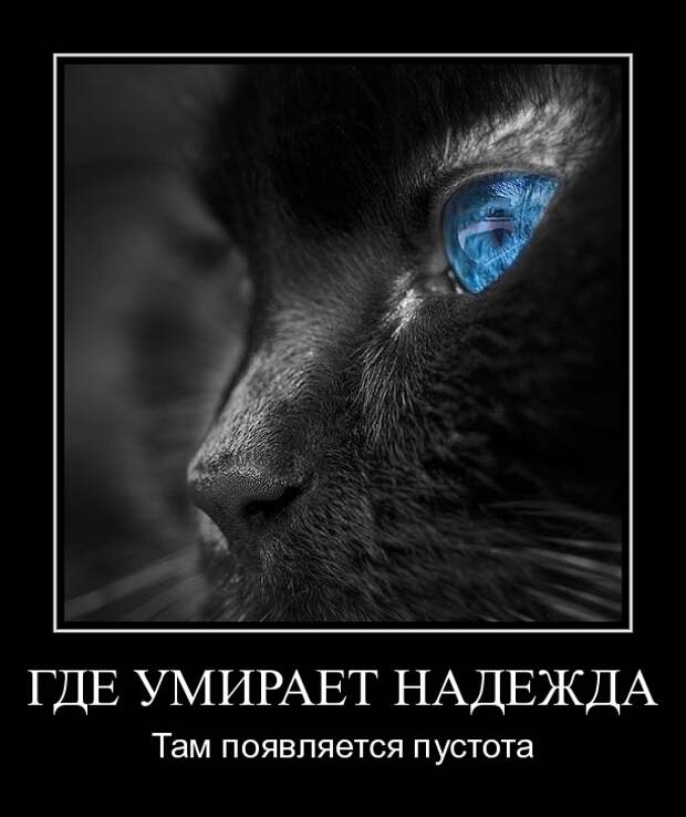 Демотиваторы со смыслом свежачок (16 фото)