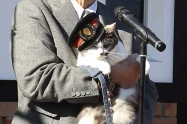 Kyodo: в Японии кошку Ёнотама назначили новым смотрителем вокзала