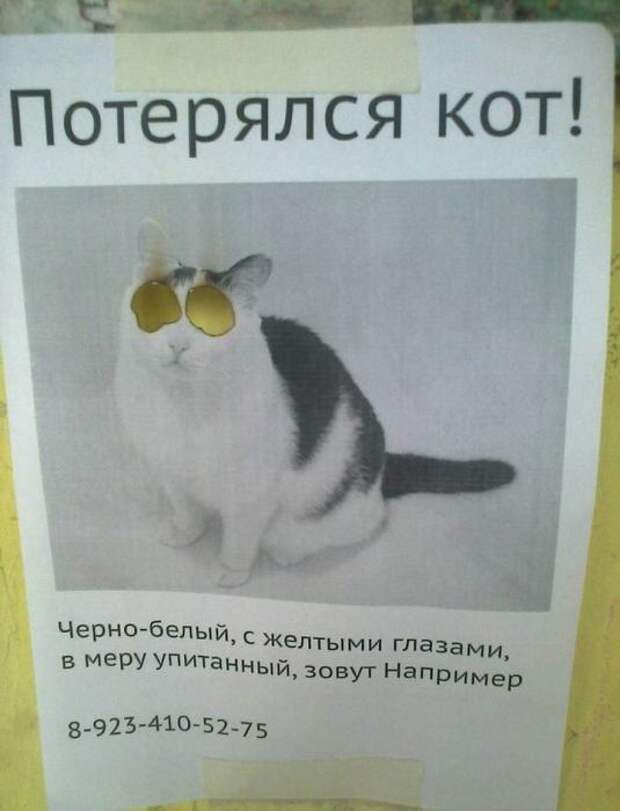 Прикольные объявления и вывески (