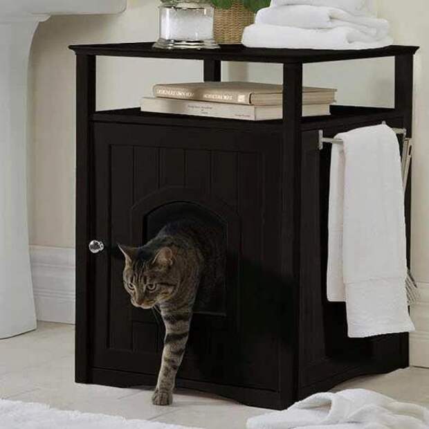 Котодизайн